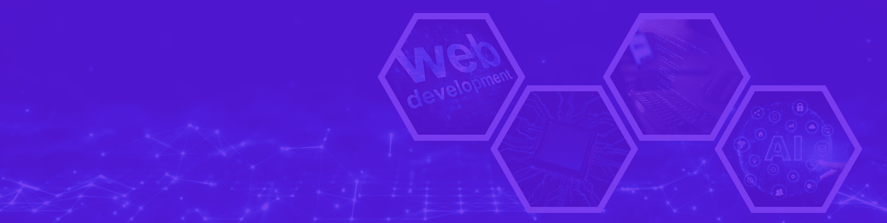 Explore our wide range of services designed to meet your business needs